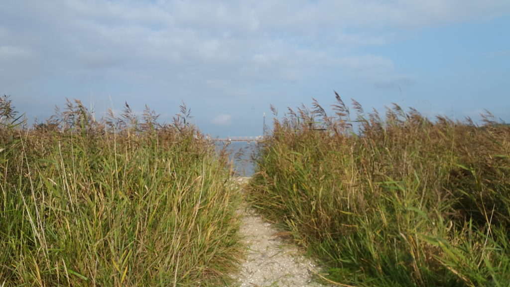 Schlei und Ostsee 2020