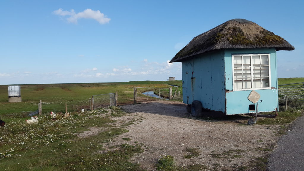 Hallig Hooge