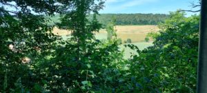 Ilm aufwärts nach Bad Berka